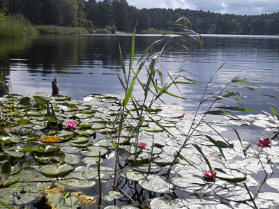 Firmenjubiläum FotoWettbewerb