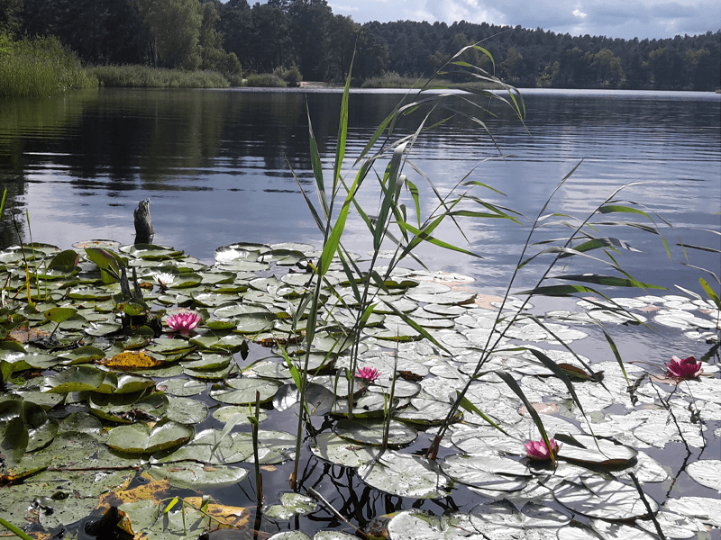 Teamtag Foto Wettbewerb Brandenburg Berlin