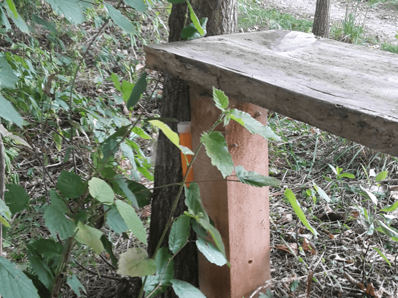 Schatz Geo Caching Teambuilding Berlin Brandenburg