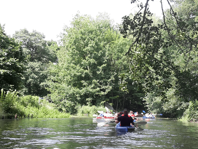 Teambuilding Programm Kanu Kanadier Spreewald