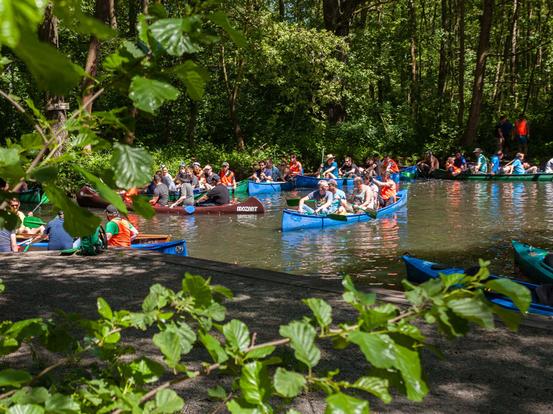 Betriebsausflug Teamtraining Kanu Spreewald