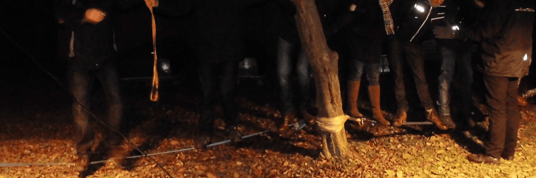 Teamtraining Mohawk Walk Berlin Brandenburg