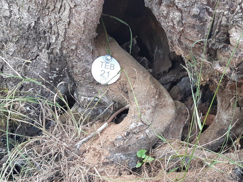 Spreewald entdecken Teambuilding Kanu Geo Caching