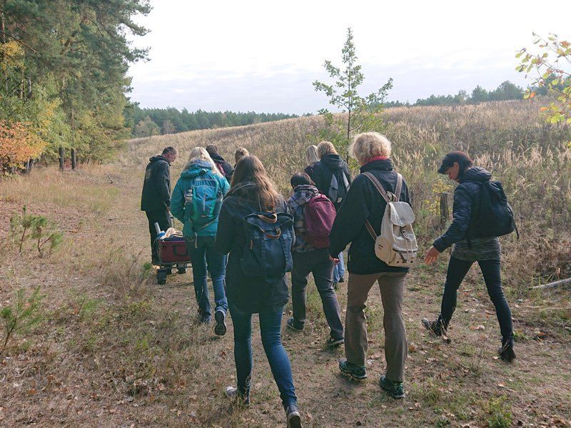 Teamtraining Berlin Team Wanderung
