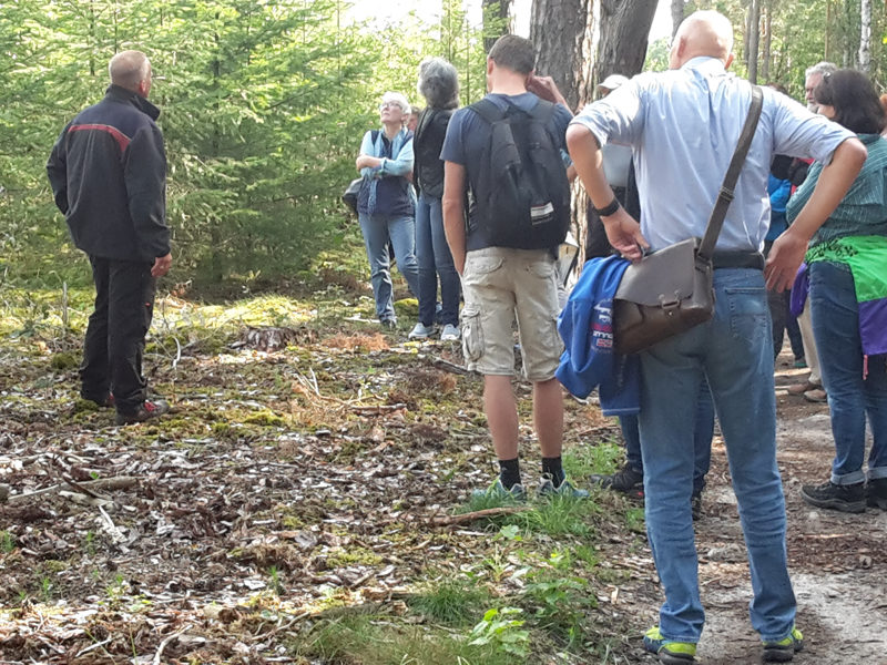 Wandern mit Förstern Teamtag Berlin Brandenburg
