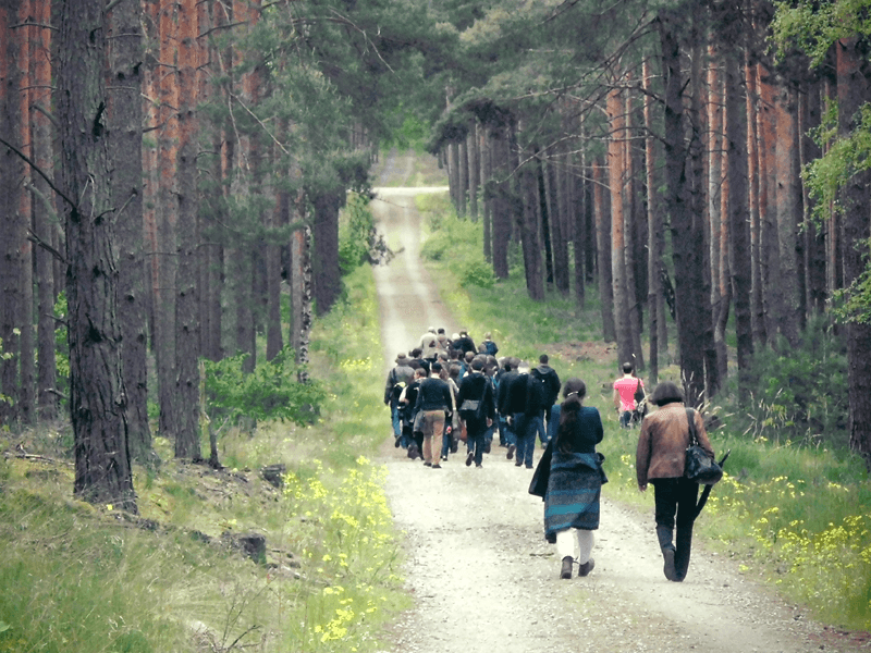Wandern Brandenburger Wälder mit Förstern Firmenausflug