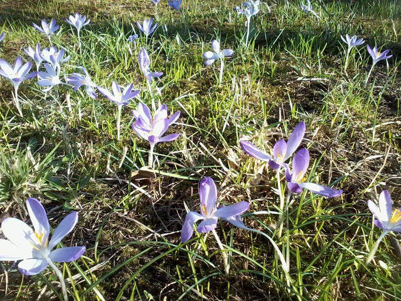 Frühling bei Team-Events.Berlin