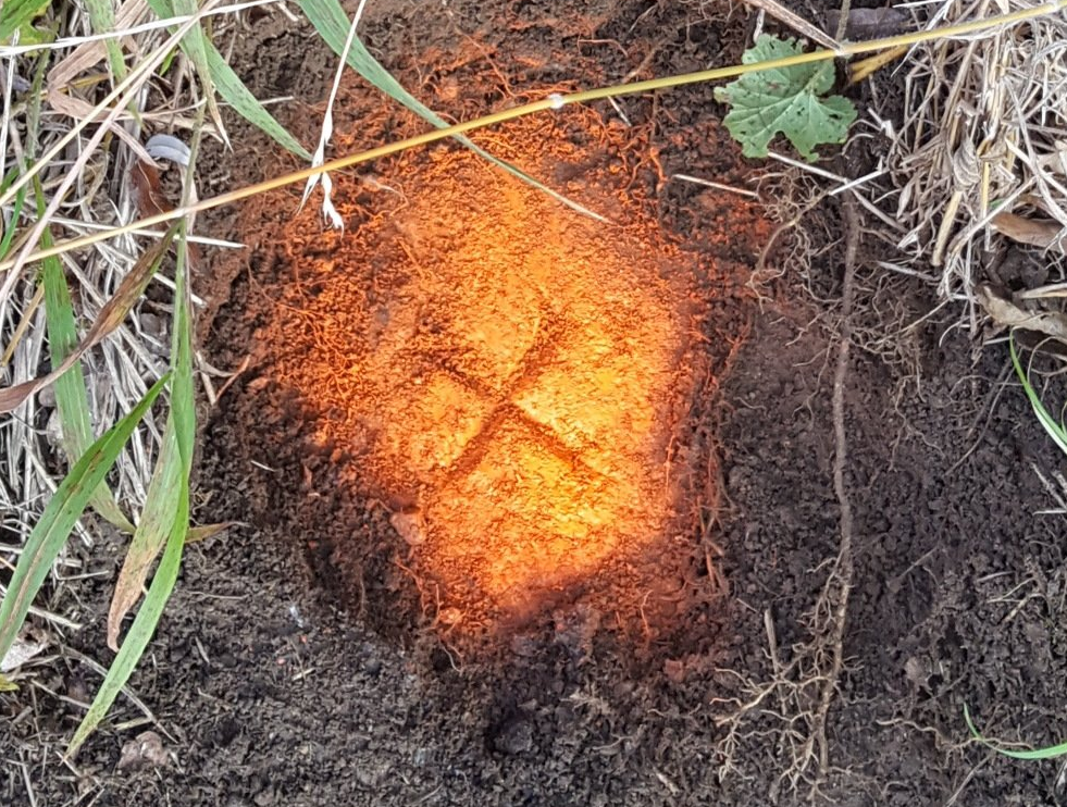 Flurstücksvermessung, Grundstücksvermessung