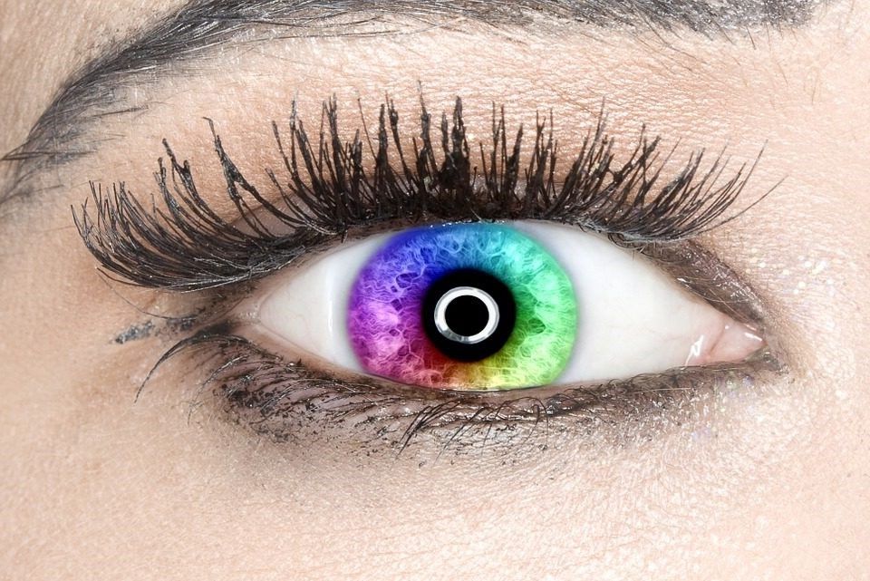 Illustration de la vision des couleurs, montrant la perception des différentes longueurs d'onde de la lumière par l'œil humain et les processus physiologiques associés
