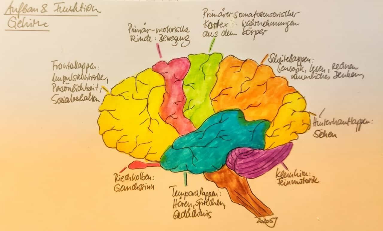 Katathymes Bildererleben/KIP/Hanscarl Leuner