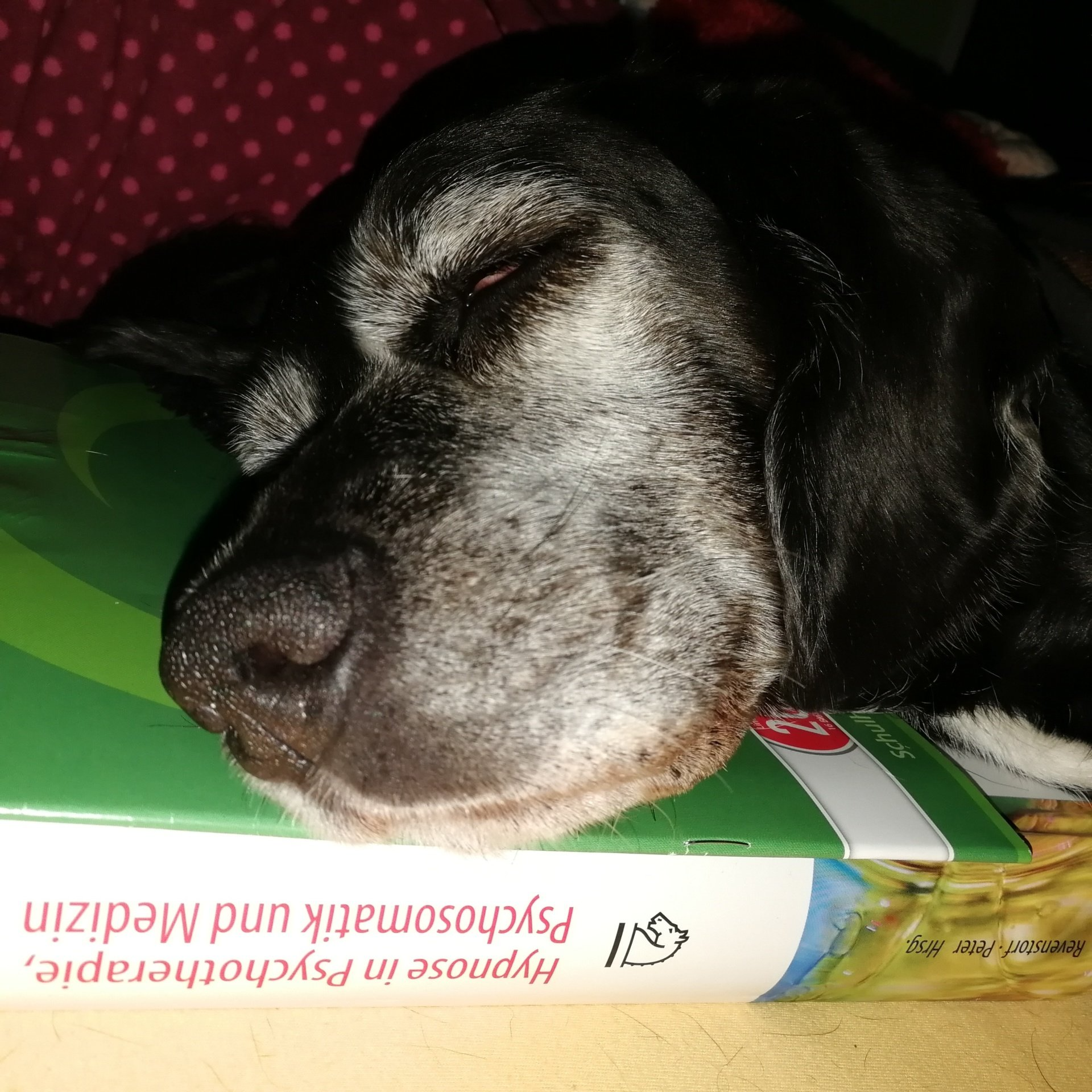 Moderne Hypnotherapie