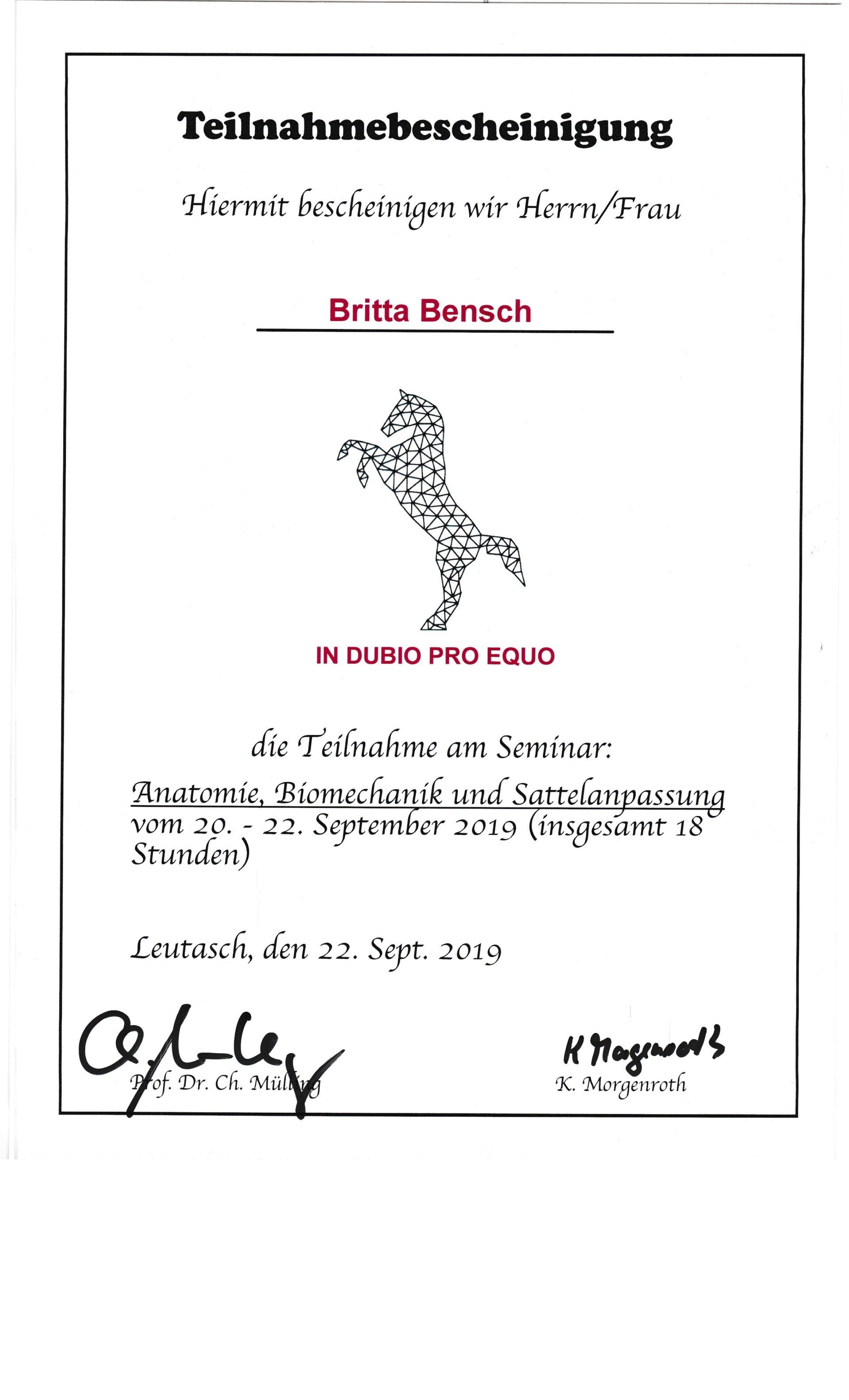 Sattelsymposium Leipzig