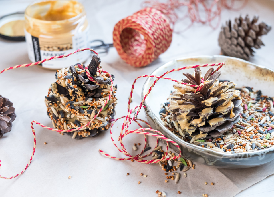 Atelier et Masteclass Atelier Biodiversité