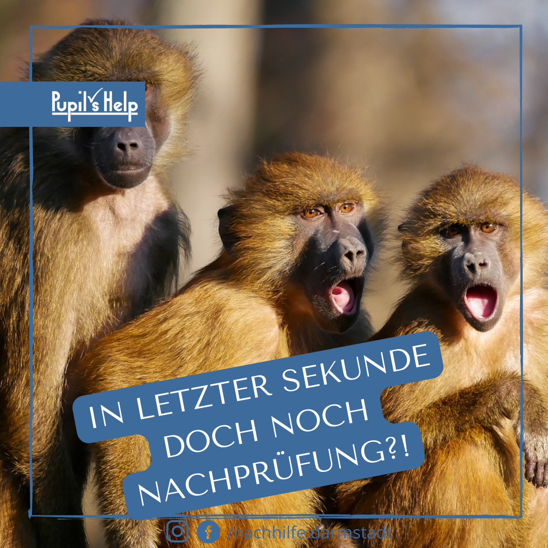 Nachprüfung Darmstadt