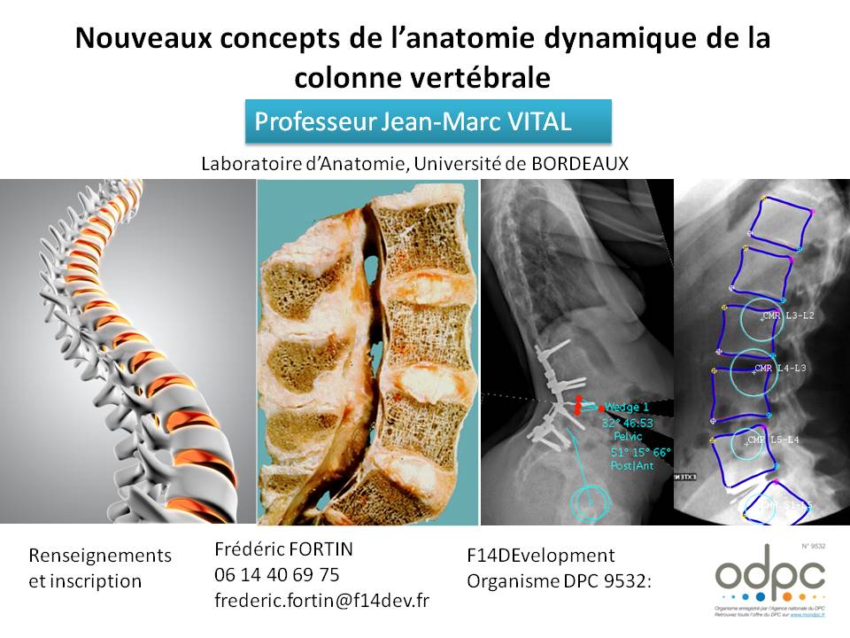 anatomie