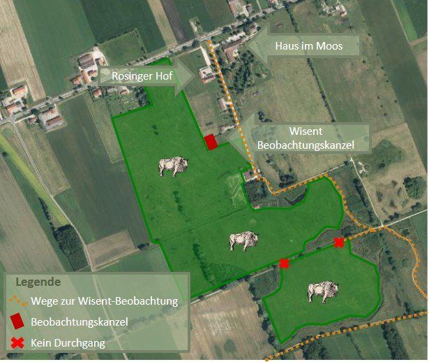 Lageplan Wisentgehege Donaumoos