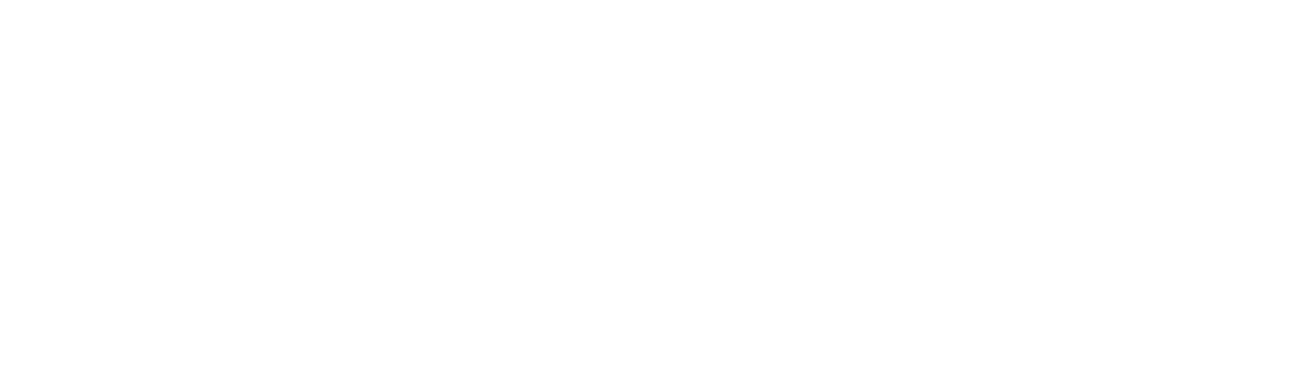Dolphin Financial Solutions, LLC