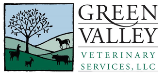 GreenValley logo