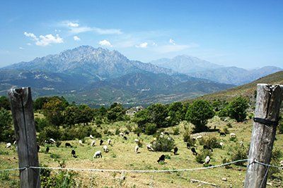 A beautiful view on the road to Morosaglia Morosaglia, Corsica, cycling, Pasquale Paoli