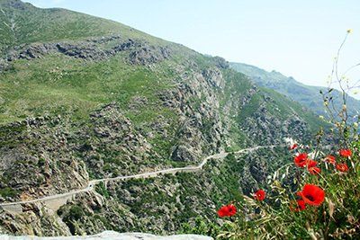The road leads ever on... Vescavato, Corsica, cycling, B&B, chambre d'hote