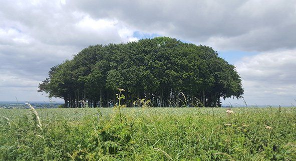Off-road cycling the King Alfred's Way