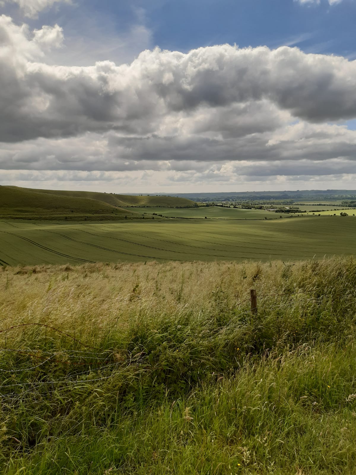 Cycling the King Alfred's Way