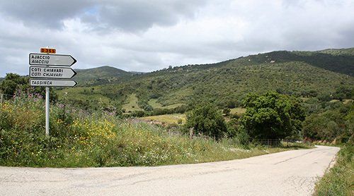 En route to Ajaccio Cycling the quiet roads of Corsica near Ajaccio