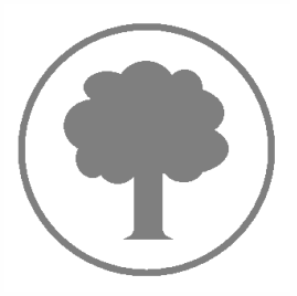 QPSMR Companion Insight