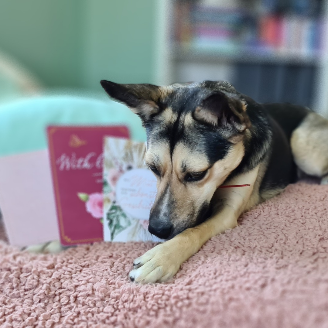 Bild von Emma Sonnenschein mit Briefen.