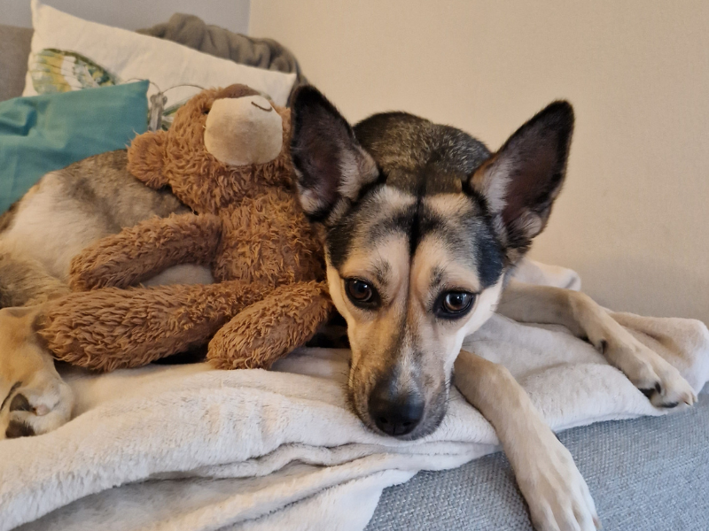 Bild von Emma Sonnenschein mit einem Teddy.