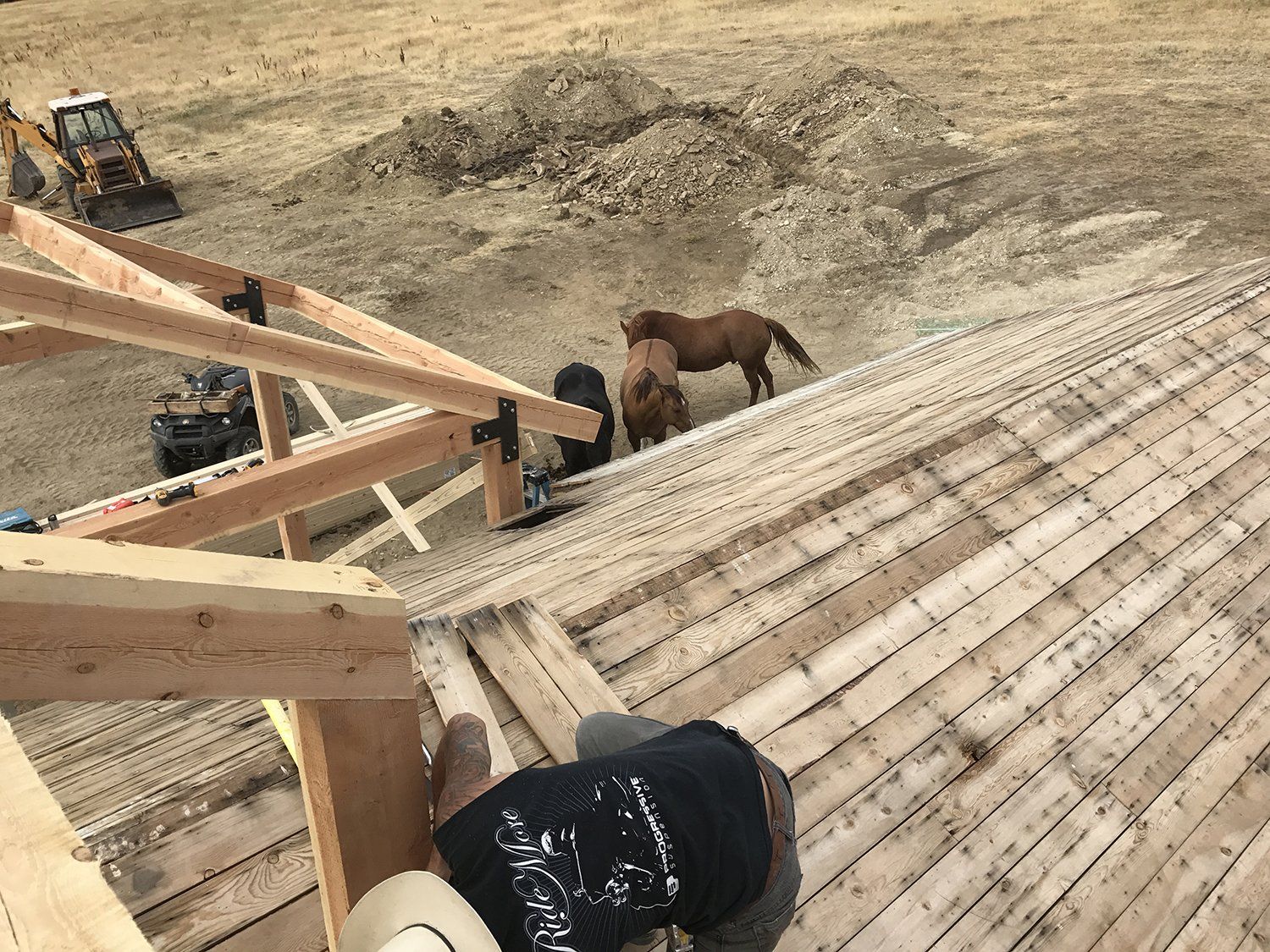 horses seen from the roof of a wooden frame building under construction