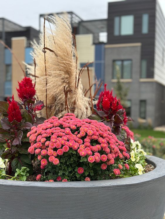 outdoor fall planter