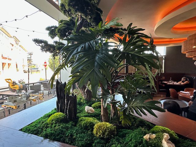 Biophilic design incorporated with large planters, moss, and natural elements.