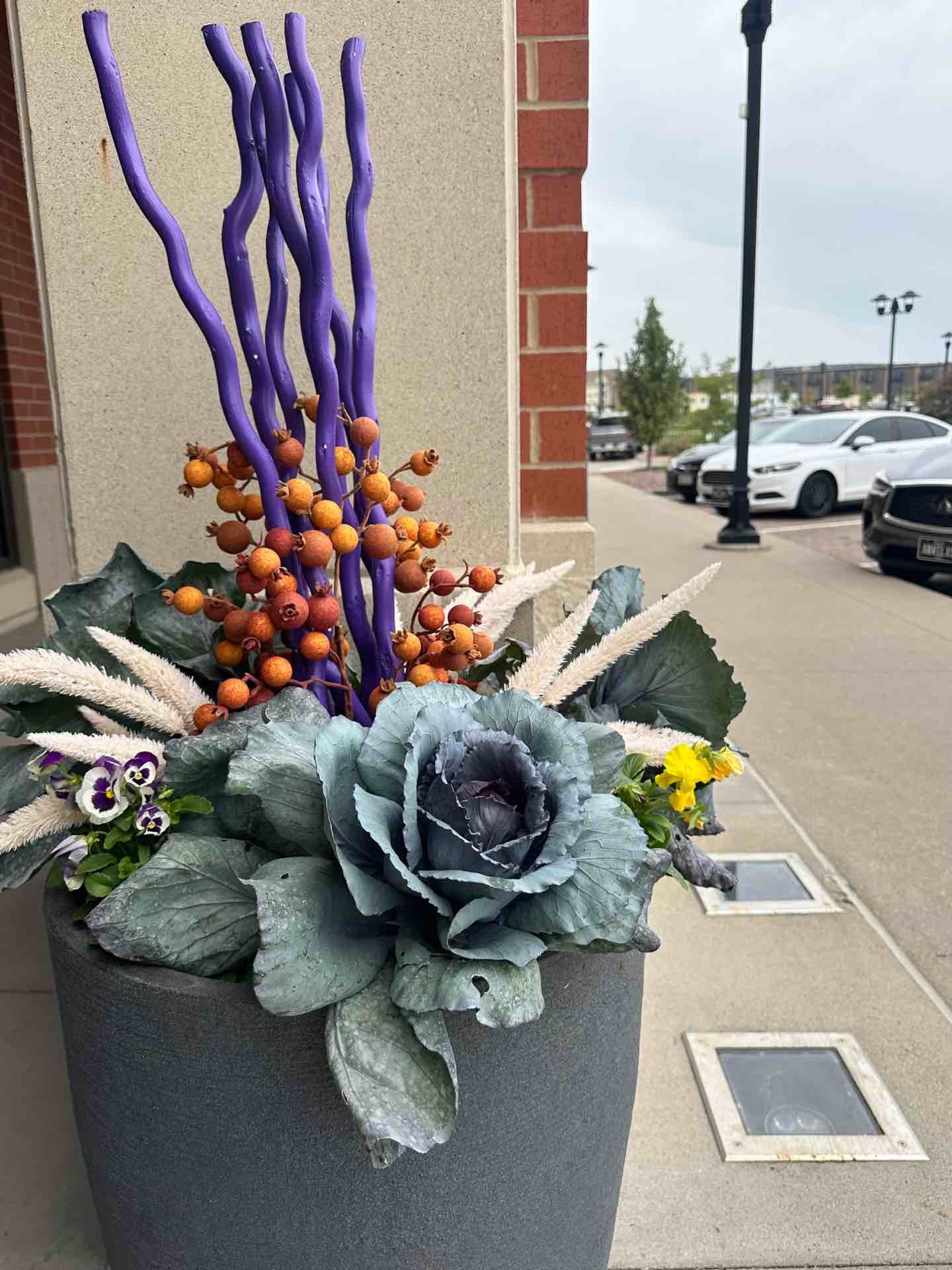 Colorful mix of orange SunPatiens, coleus, and Colocasia in a vibrant seasonal flower bed.