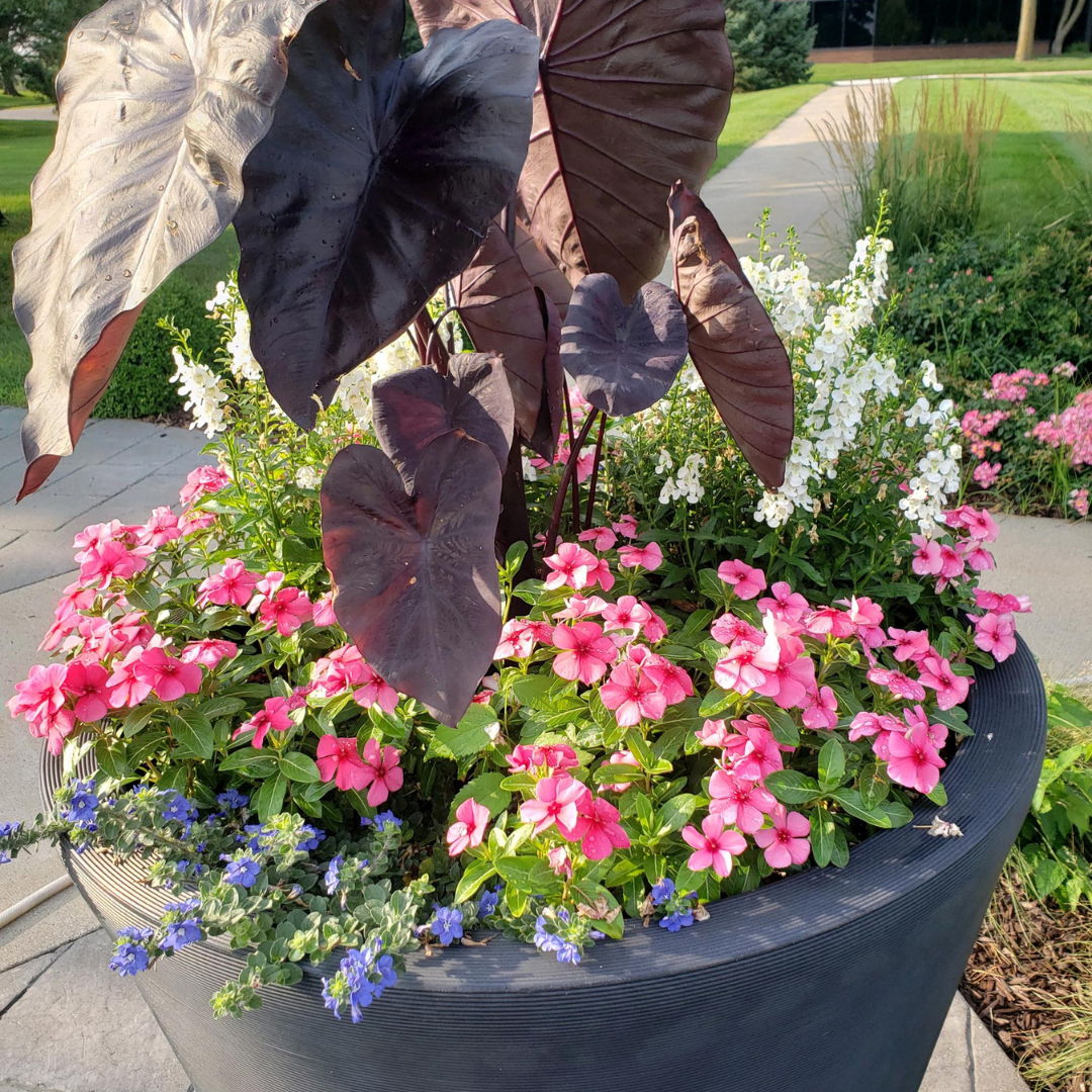 outdoor fall planter