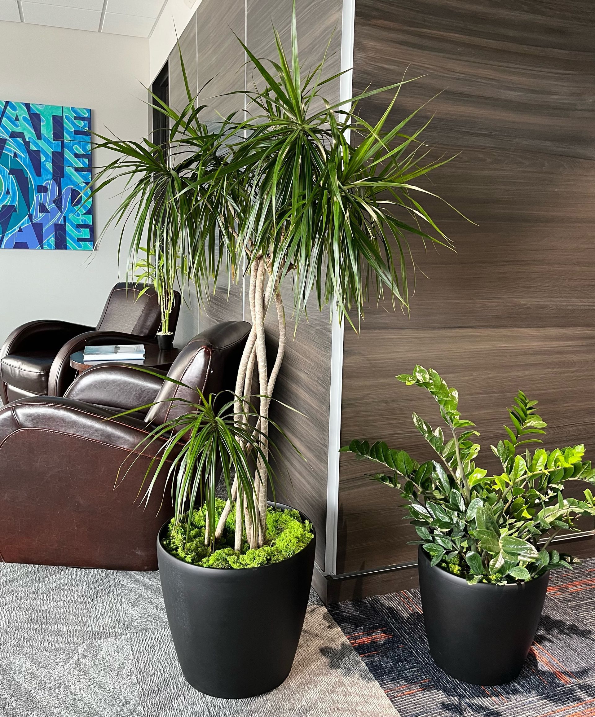 Interior lobby with indoor plants welcoming visitors.