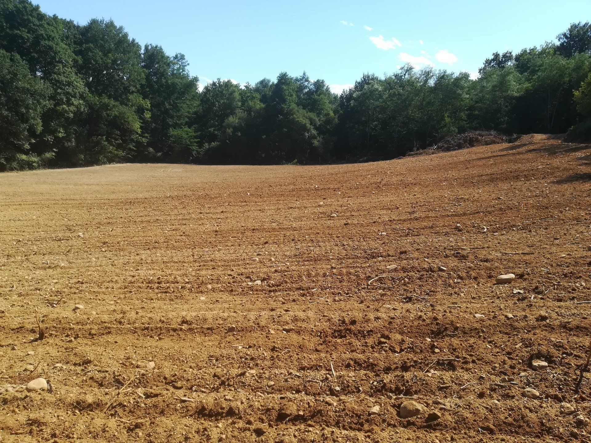 Préparation et semis d'un couvert végétal Bio pour plantation vignes en hautins à Ibos