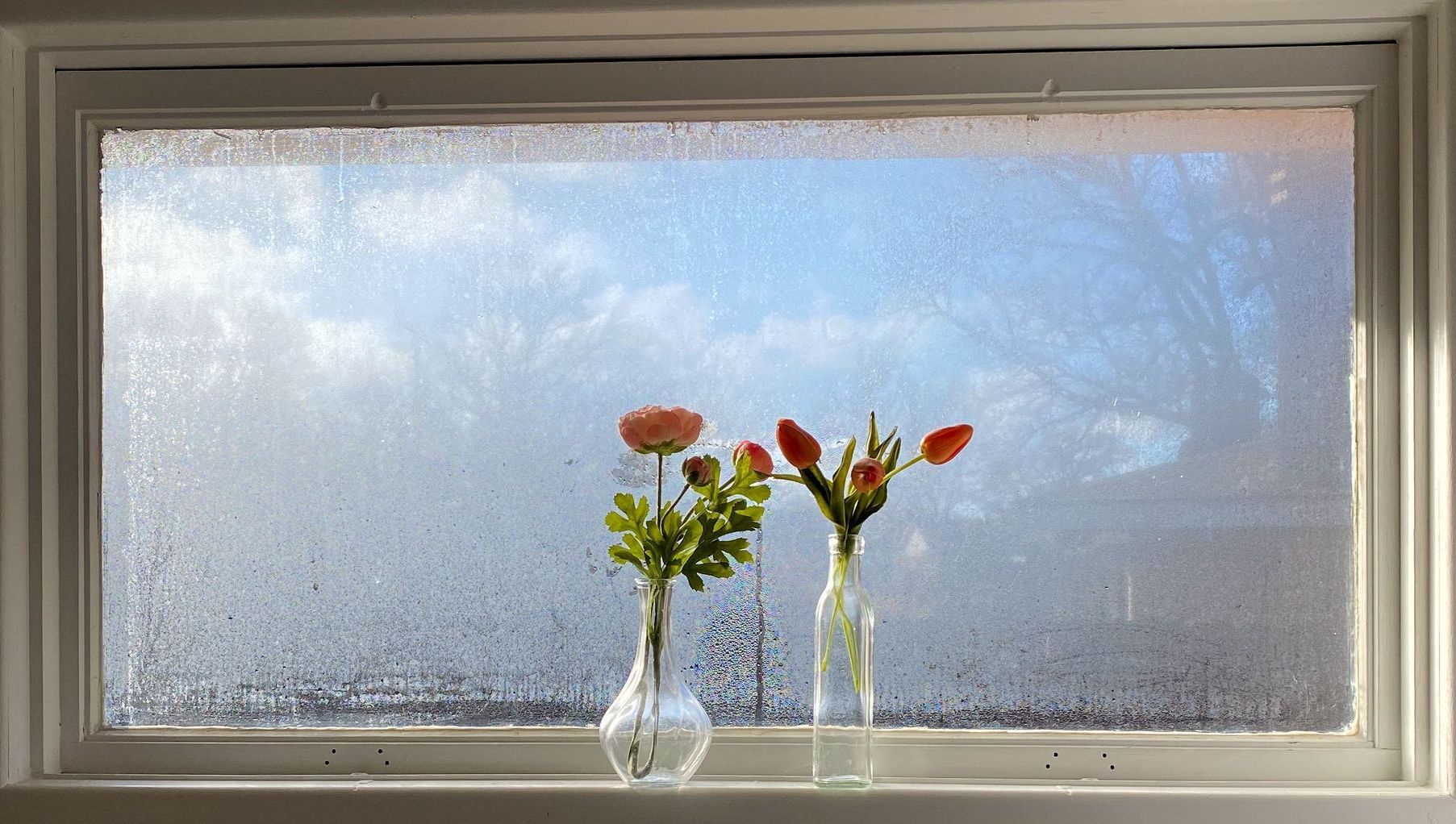 Kondenswasser am Fenster? Was hilft wirklich?