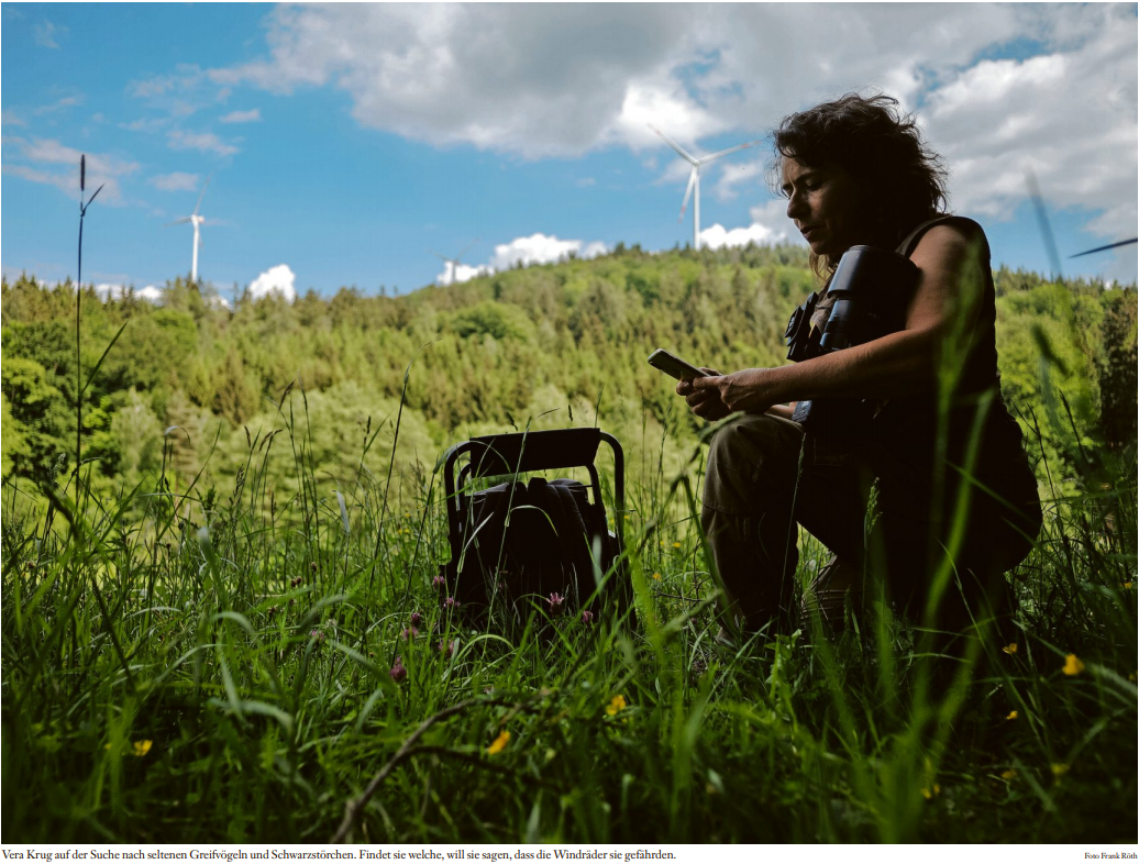 Zum Artikel hier klicken.