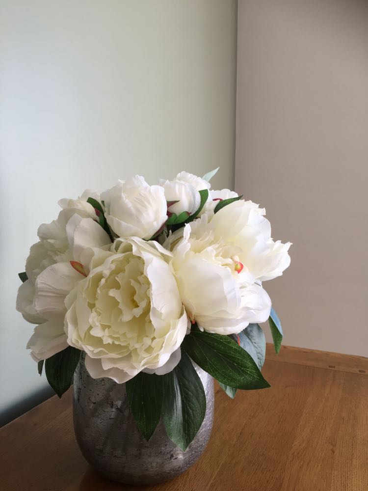 Farrow and Ball modern emulsion Lichen and School House White