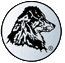 Wir sind Mitglied im Australian Shepherd Club Of America Wir sind Mitglied im Australian Shepherd Club Of America