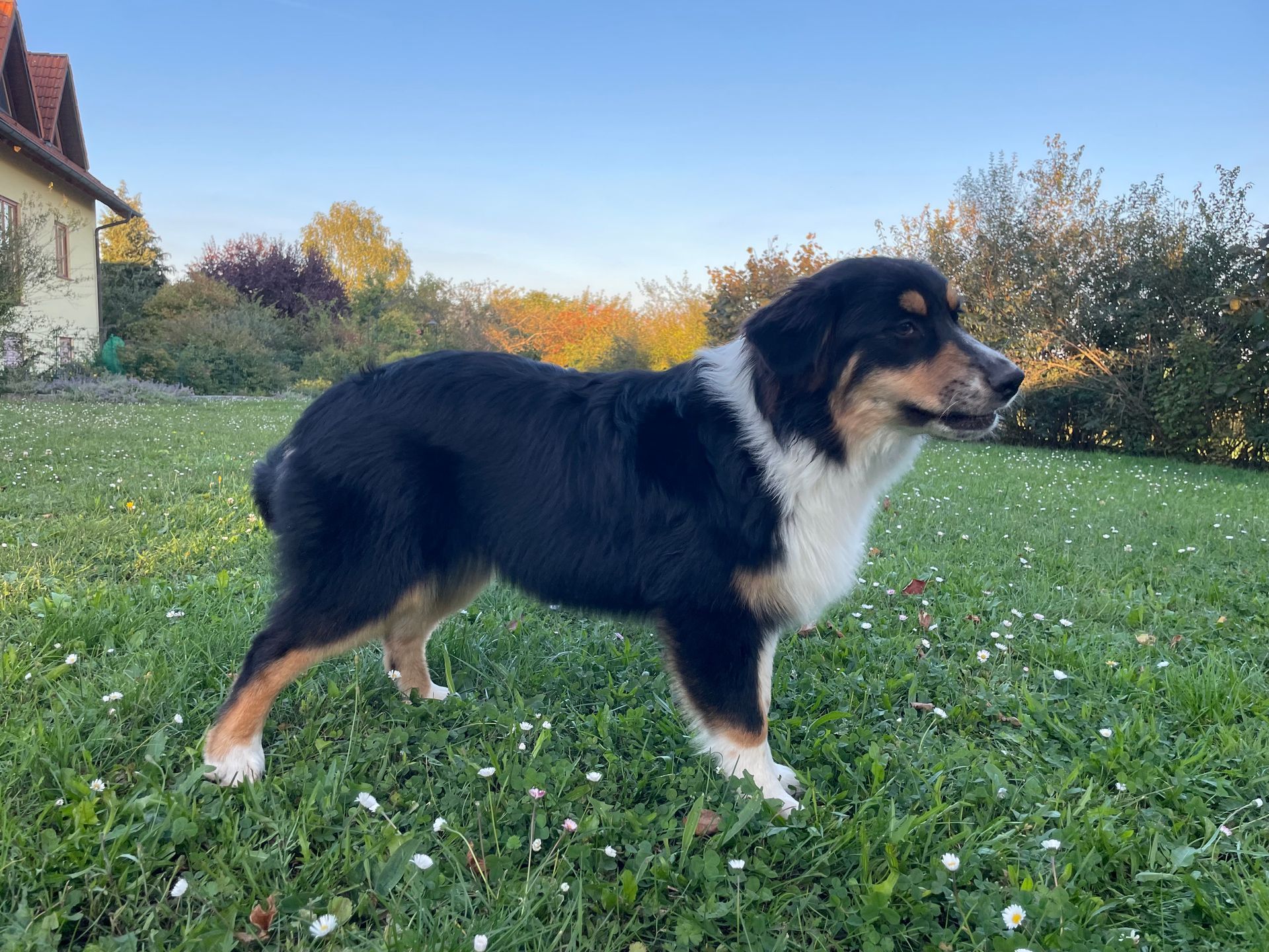 Pepper HatredHillsRedHotChiliPepper