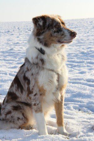 Pepper HatredHillsRedHotChiliPepper