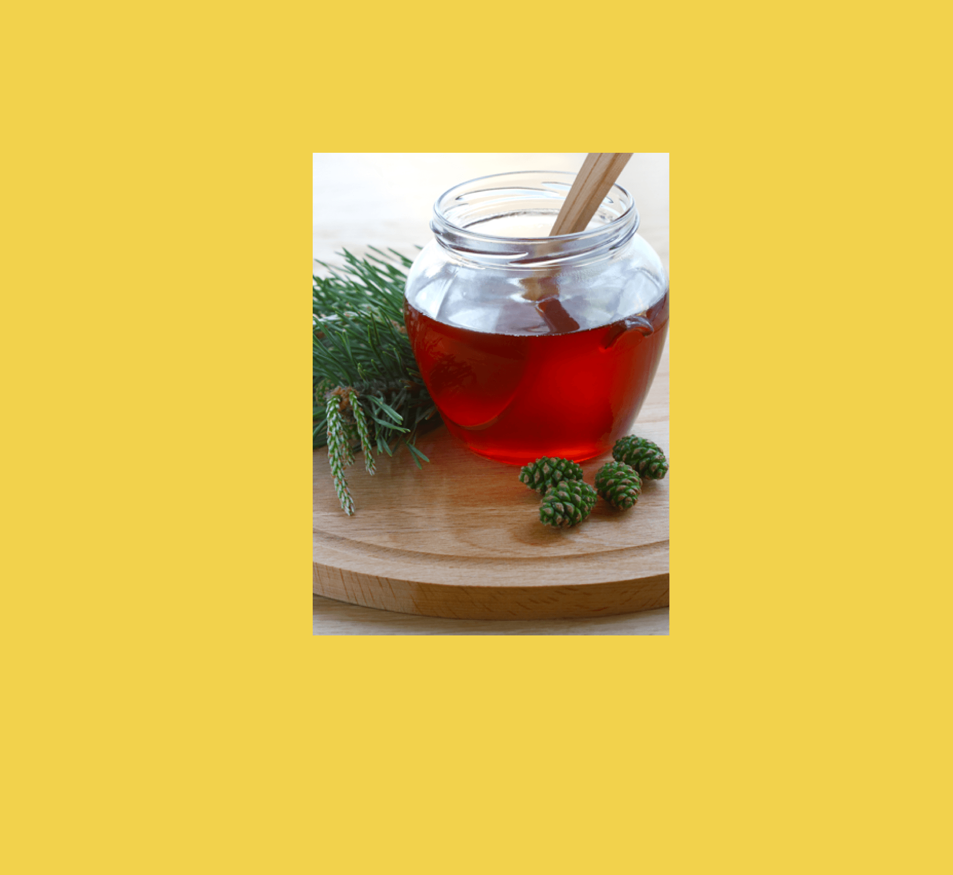 sirop de pomme de pin