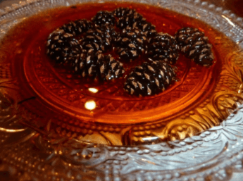confiture de pin