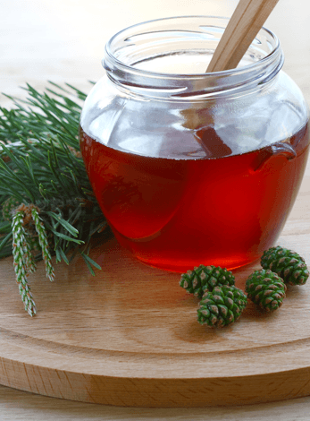 Detox sirop cedre nettoyer ses poumons