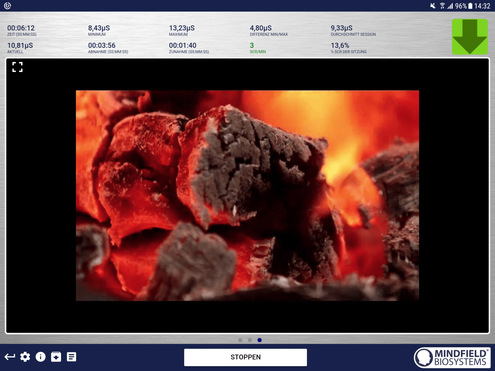 ein Bild, Screen Shot Kaminfeuer, Biofeedback