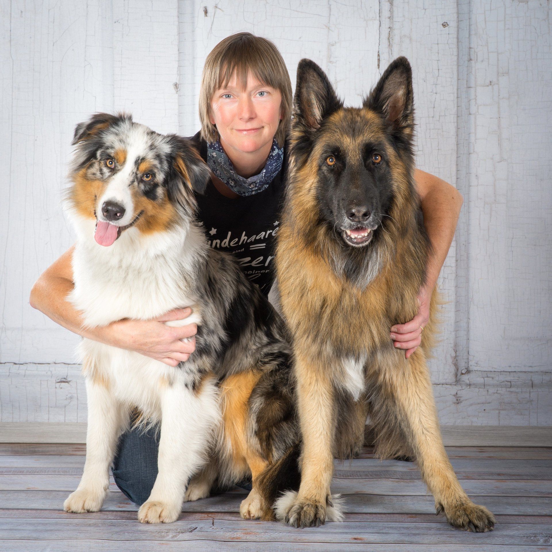 Angebote, Preise und Termine Training