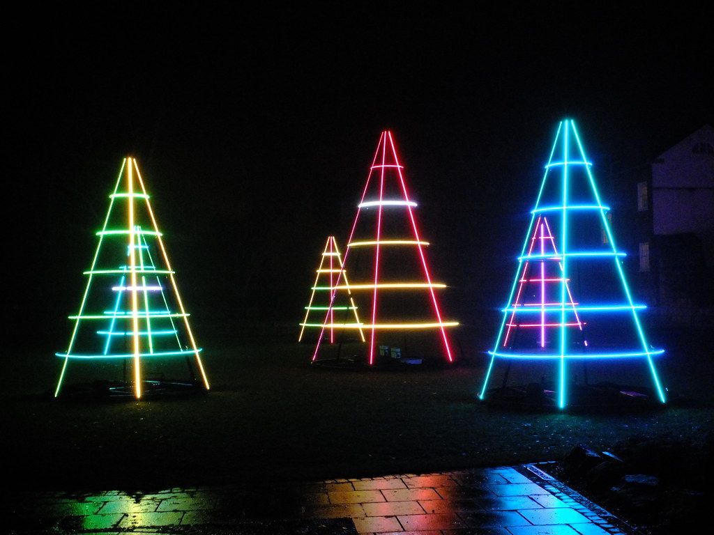 Christmas at the Botanics