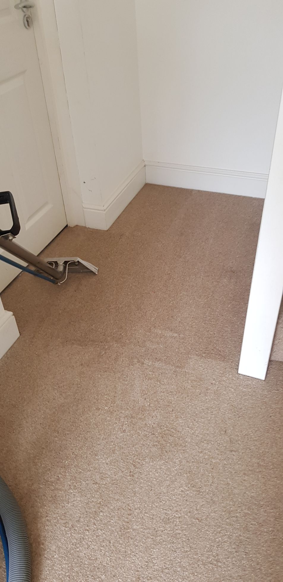 A carpet cleaning machine with a metal wand attachment is positioned next to a partially cleaned carpet. The carpet shows a noticeable clean area beside a dirty section, indicating steam cleaning in progress.